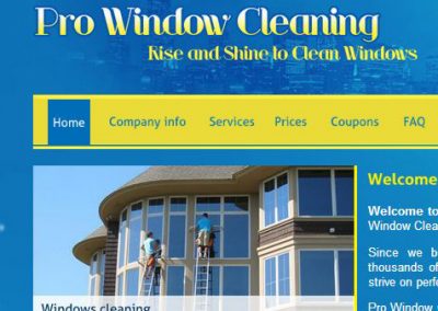 PRO WINDOW CLEANING